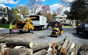 Best Storm Damage Tree Cleanup  in Valatie, NY